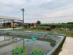 -美家乐农庄·露营·团建(大治路店)