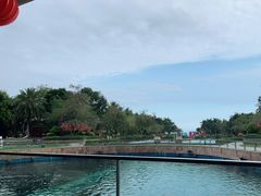 -天津湾西餐厅(三亚海棠湾洲际度假酒店)