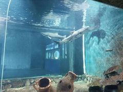-嘉兴海底世界