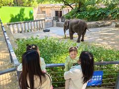 -深圳野生动物园