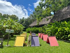 -大象粑粑造纸公园