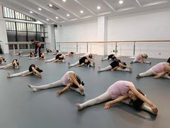 -西安小天鹅艺术团(曲江Alice店)