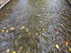 -鼓楼(西湖风景名胜区)