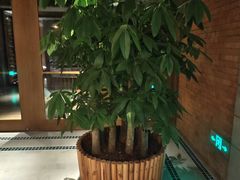 -浅深Cheersum(曹杨店)