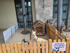 -三亚亚龙湾瑞吉度假酒店