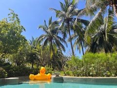 -海南清水湾莱佛士酒店