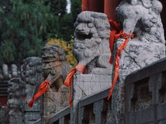 -盐池神庙