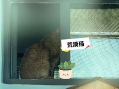 -青藏高原野生动物园