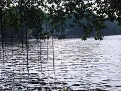 -荔湾湖公园