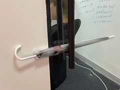 -JT PREP国际学科课程·IB·AP·Alevel(陆家嘴校区)