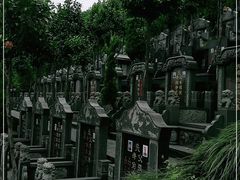 -杭州半山国家森林公园