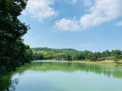 -南京市无想山景区