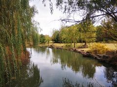 -上海滨江森林公园