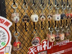 -和它·交个朋友·狗咖猫咖(爱琴海店)