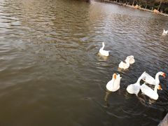 -洛阳市隋唐城遗址植物园