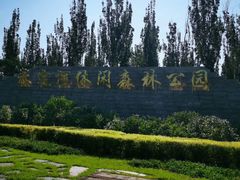 -永定河休闲森林公园