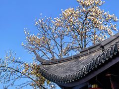 -方岩风景区