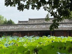 -莫催咖啡