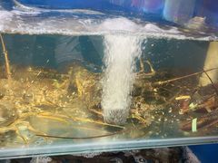 -福建美食城(老君堂店)
