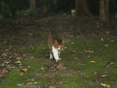 -苏州河梦清园环保主题公园