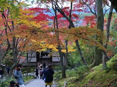 -常寂光寺