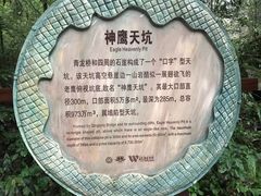 -重庆武隆天生三桥风景区-神鹰天坑
