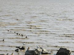 -深圳湾公园(南山区)