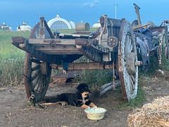 -呼和诺尔旅游景区