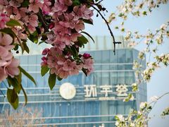 -海棠花溪(元大都城垣遗址公园)