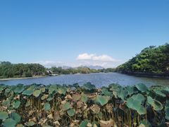-江心屿景区