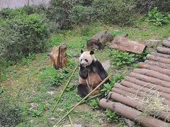 -黔灵山公园