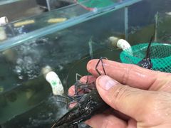 -明记海鲜大排档(巽寮湾店)
