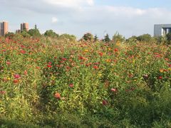 -白塘生态植物园