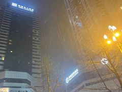 -成都瑞城名人酒店