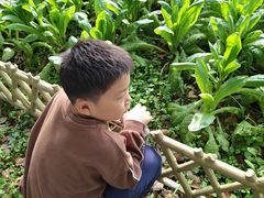 -同里国家湿地公园