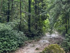 -雁荡山风景名胜区