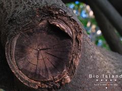 -广州国际生物岛