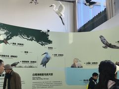 -白鹭湾湿地公园