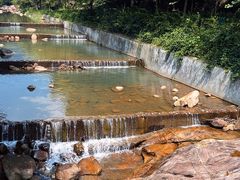 -广州白江湖森林公园