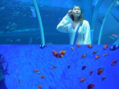 -巧克力渔家.小船海鲜胶东菜(万平口店)