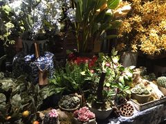-范设计花园餐酒咖·中西餐·咖啡厅·酒馆