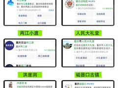 -烤匠麻辣烤鱼(观音桥大融城店)