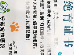 -守诺宠物医院·眼科· 神经外科·爬宠专科(虹口店)
