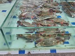 -石塘路海鲜市场(草厂中路店)