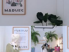 -收获咖啡HARVEST RESERVE(苍山店)
