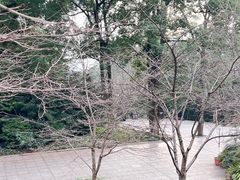 -南山植物园