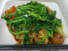 -文星素食(兴华路店)