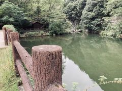 -溪口-滕头旅游景区