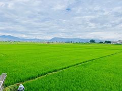 景观位-喜林苑·稻田餐厅(品相府店)
