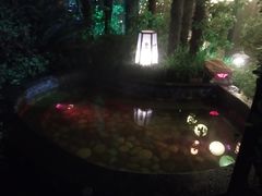 -杭州第一世界大酒店·云曼温泉